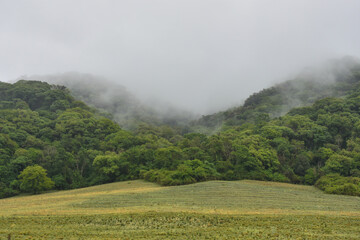 clearing, jungle and clouds