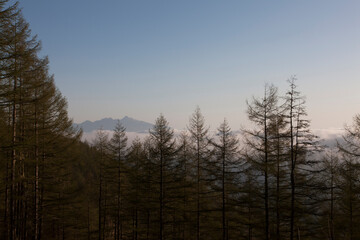 雲海からの日の出