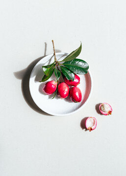 Lilly Pilly (Myrtaceae or Monkey Apple) on white ceramic plate