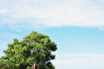 blue sky with white clouds are used as background images.	