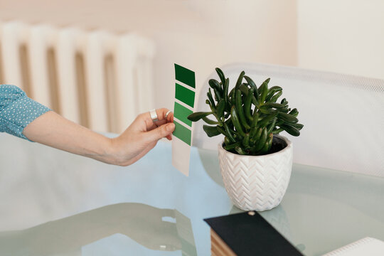 Crop designer picking plant color