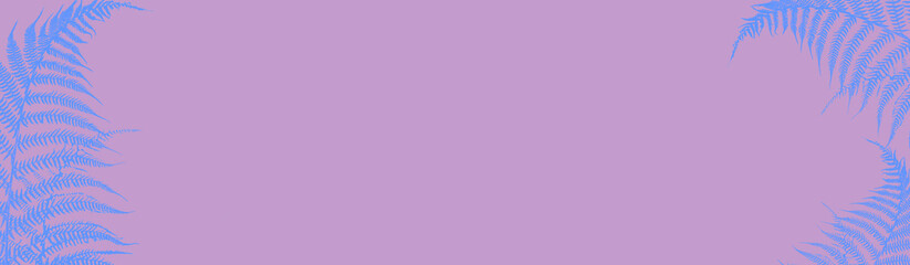 Silhouettes leaves ferns blue colored on a lilac background. Banner. Illustration in trendy pastel colors, minimalism.