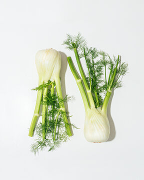 fresh whole fennel bulb on white background
