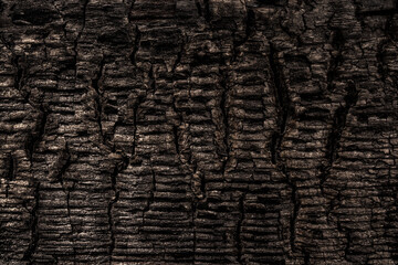 burned wood texture