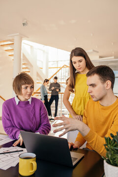 Young architects working on project together