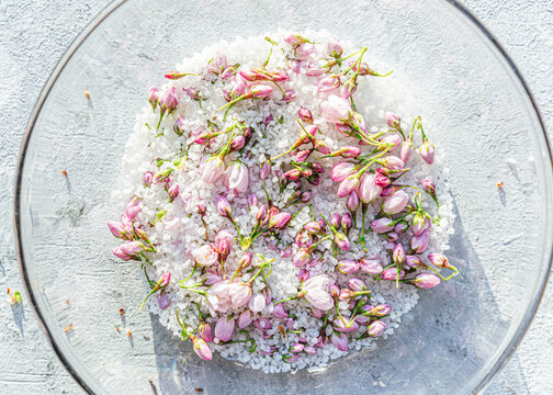 Preserving cherry blossoms in sea salt