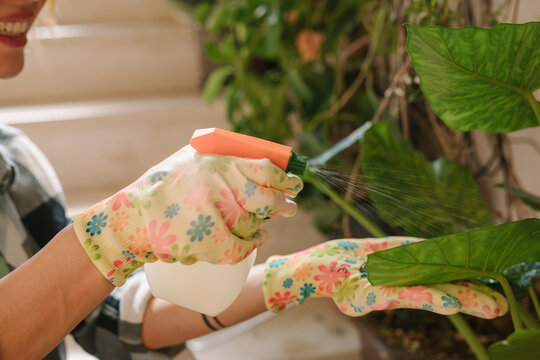 Woman Watering Houseplants At Home