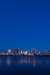 Obraz premium 淀川河川敷より大阪のビル群の夜景
