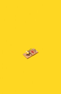 Mouse Trap Mechanism / Still Life