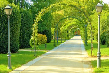 path in garden in the park with rounded arcs, green, garden, park, 