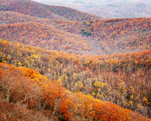 The Priest Wilderness landscape in autumn is a U.S. Wilderness Area in the Glenwood, Pedlar Ranger District of the George Washington and Jefferson National Forests.