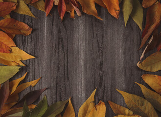 
Autumn leaves are arranged in a frame on a black wooden background with a place for text in the...