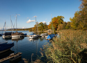 small sailing boat harbour in the reed