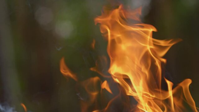 Aggressive fire making swirl over line in forest. Flame overtaking spot