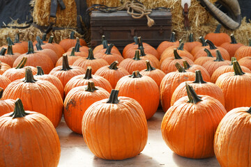 close up on pumpkins with decoration