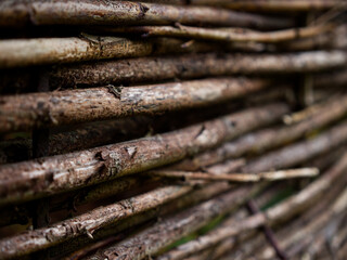 a wall of specially arranged branches that are interwoven
