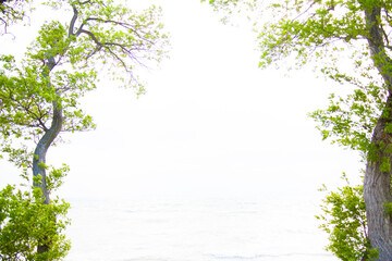 Obraz premium 湖の辺の道