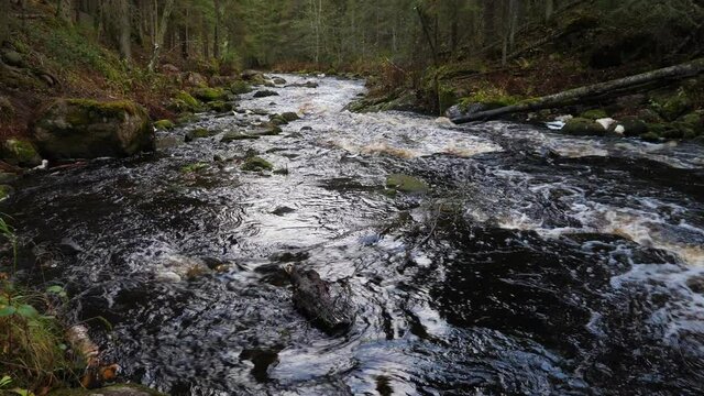Cascade waterfalls in karelian forest. Autumn nature