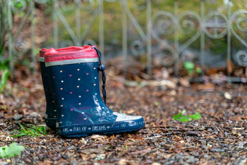 A pair of forgotten children's rubber boots stands in the rain in the forest
