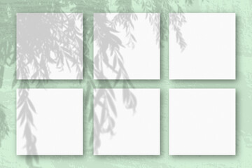 Natural light casts shadows from an willow branch on 6 square sheets of white textured paper