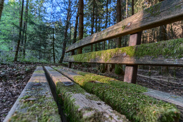 old moss-covered bench in the forest