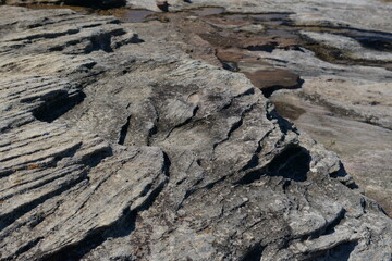 The rocky shore in Sydney, Australia