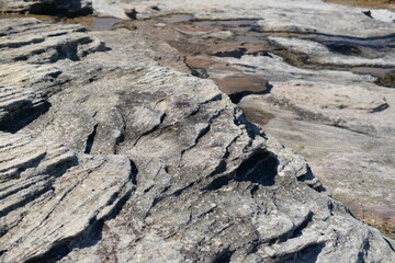 The rocky shore in Sydney, Australia