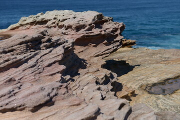 The rocky shore in Sydney, Australia