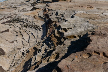 The rocky shore in Sydney, Australia