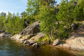 Naklejka na ściany i meble beautiful landscape with green, natural trees and plants, rocks on the island, natural pond, lake against the blue sky in Karelia, Russia