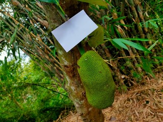 Mockup concept of sand and river background at the foot of the mountain