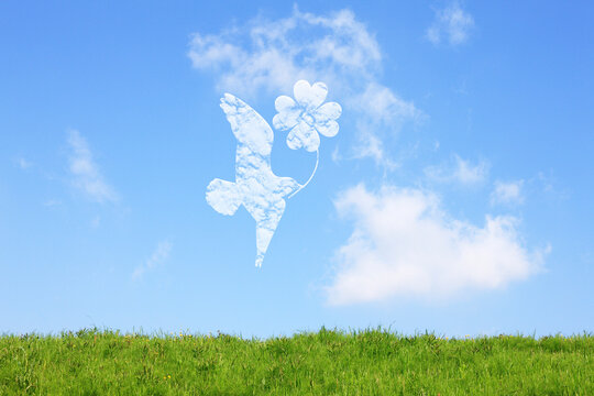 草原と鳥とクローバー