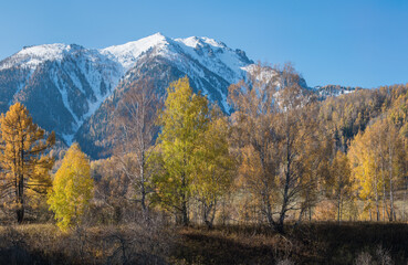 Naklejka premium Mountain valley, autumn view. Snow-capped peaks in a blue haze.