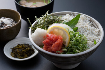 シラス丼