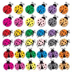 set of ladybugs vector