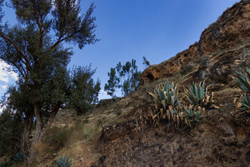 Paisaje típico de la sierra del Perú