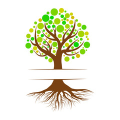 Fototapeta premium Tree with roots and green leaves isolated on white background.