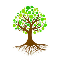 Tree with roots and green leaves isolated on white background.