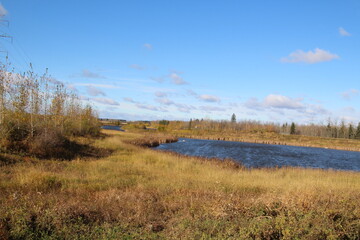 October Afternoon, Pylypow Wetlands, Edmonton, Alberta
