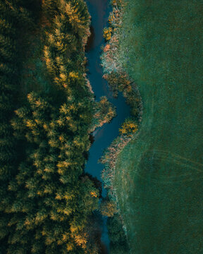 The river stream in the autumn forest aerial view