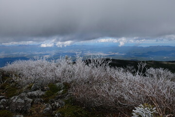 山頂にあった樹氷たち
