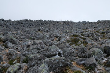Fototapeta na wymiar 山頂にあった岩たち