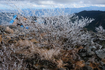 山頂にあった樹氷たち