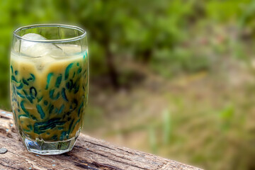 Lod Chong with coconut milk. Natural background green.
