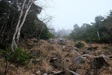 山頂付近での景色