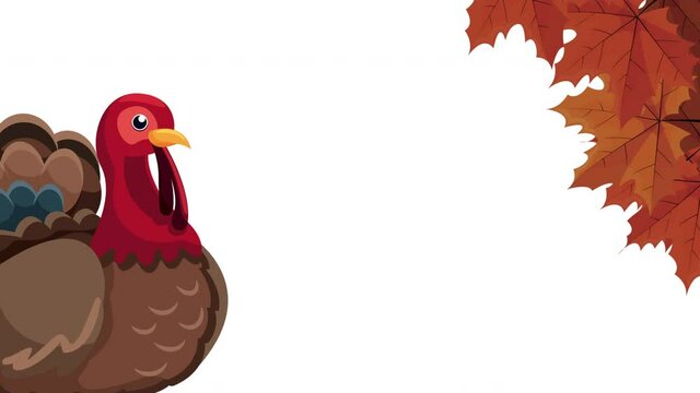 happy thanksgiving day animation with turkey