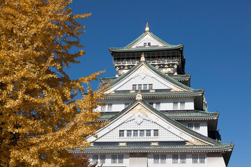 大阪城とイチョウ
