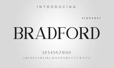Bradford font. Elegant alphabet letters font and number. Classic Lettering Minimal Fashion Designs. Typography modern serif fonts regular uppercase lowercase and numbers. vector illustration