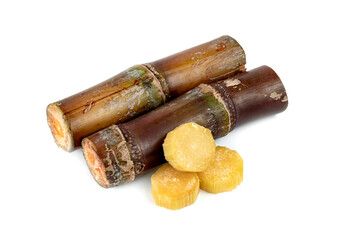 sugar cane isolated on white background