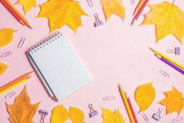 back to school theme with autumn leaves and stationery